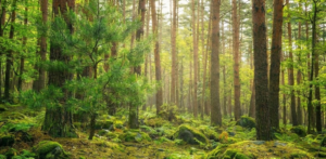 Thumbnail of post image 182